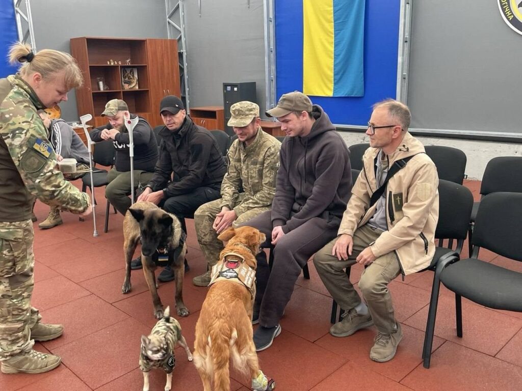 Справжня соціальна робота — це не теорія, а дієва підтримка та емпатія